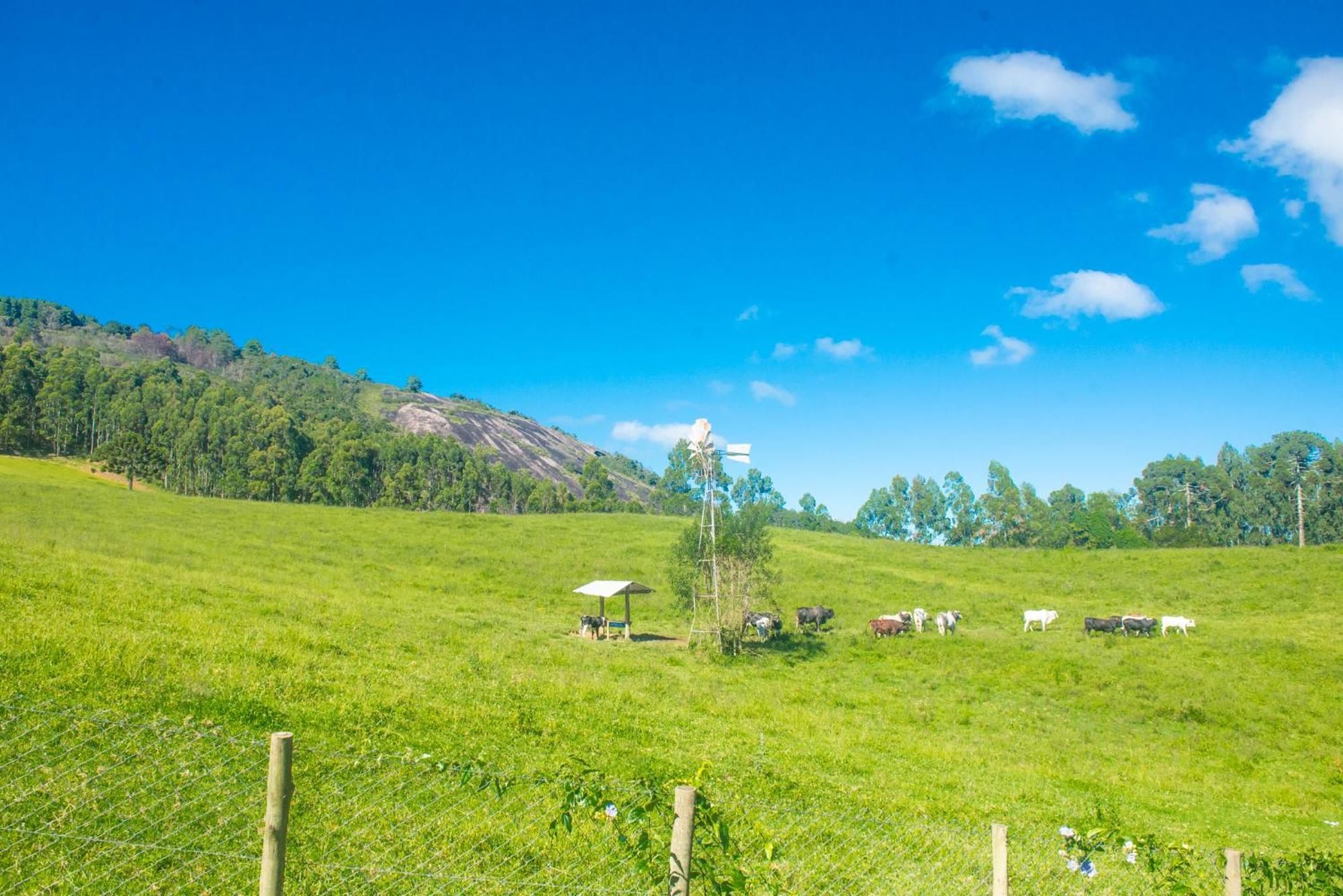 Pousada Alpes Da Mantiqueira Monte Verde (Minas Gerais) Exterior foto